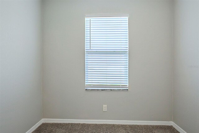 2929 18th Ave S, Saint Petersburg, FL 33712 - photo 24