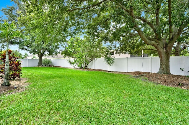 2313 Pesaro Cir, Ocoee, FL 34761 - view of yard