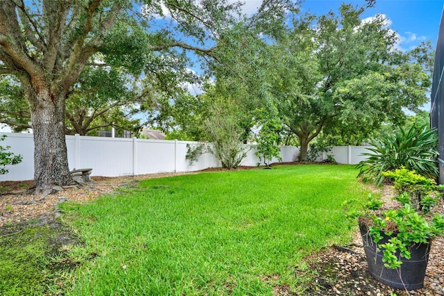 2313 Pesaro Cir, Ocoee, FL 34761 - view of yard