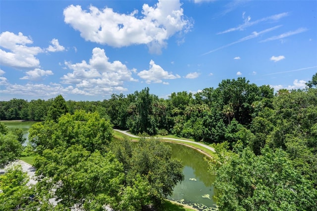 1200 Ironsmith Dr Unit 508, Celebration, FL 34747 - photo 43