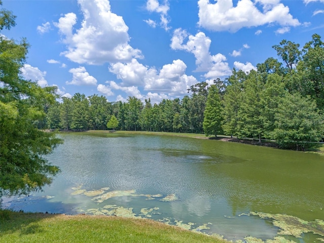 1200 Ironsmith Dr Unit 508, Celebration, FL 34747 - photo 44