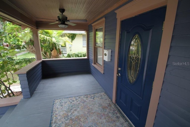 834 Jackson St N, Saint Petersburg, FL 33705 - photo 2