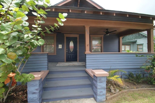 834 Jackson St N, Saint Petersburg, FL 33705 - photo 4