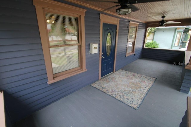 834 Jackson St N, Saint Petersburg, FL 33705 - photo 5