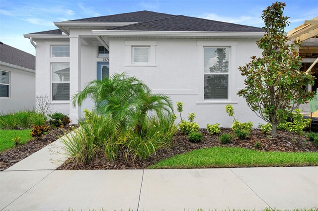 28761 Sweet Persimmon Dr, Wesley Chapel, FL 33543 - photo 3