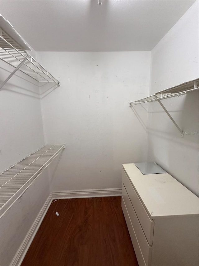 4756 Walden Cir Unit 21, Orlando, FL 32811 - walk in closet with wood finished floors