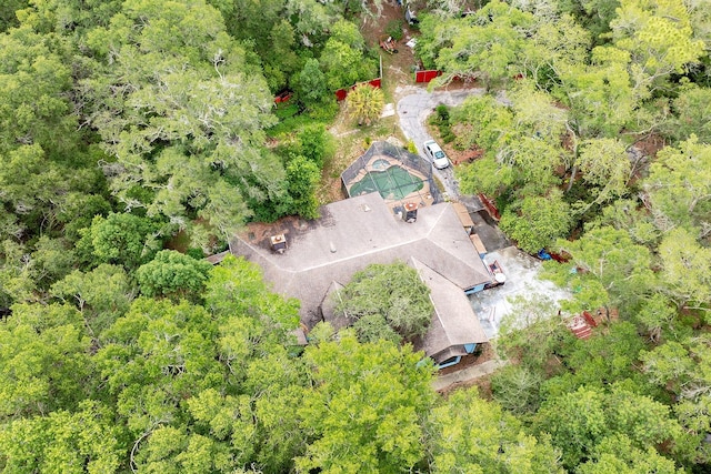 4933 Round Lake Rd, Apopka, FL 32712 - bird's eye view of a forest