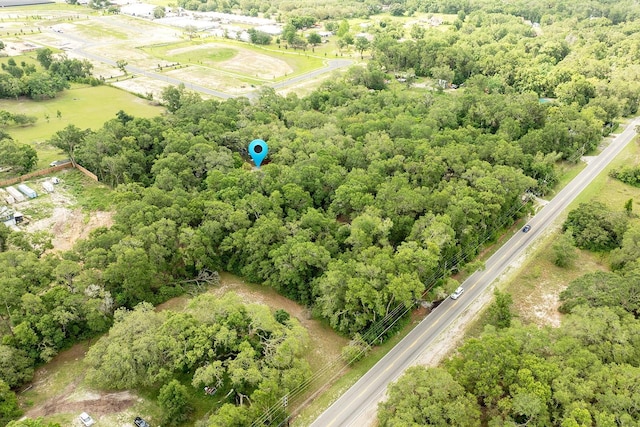 4933 Round Lake Rd, Apopka, FL 32712 - view of property location with a forest