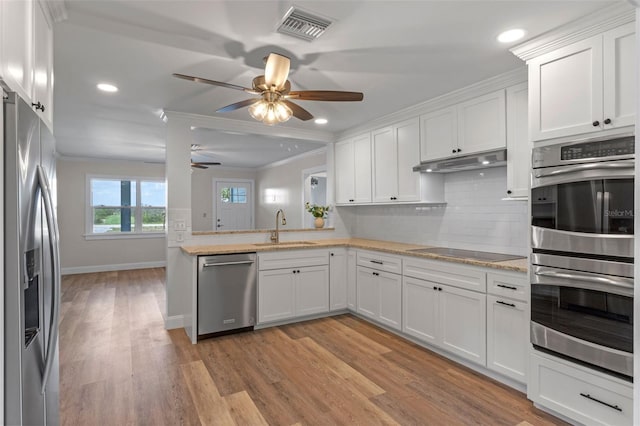 588 Hwy 630 E, Frostproof, FL 33843 - kitchen with appliances with stainless steel finishes, a sink, a ceiling fan, ornamental molding, and under cabinet range hood
