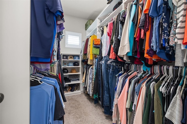 1113 Fieldstone Cir, Oviedo, FL 32765 - spacious closet featuring carpet