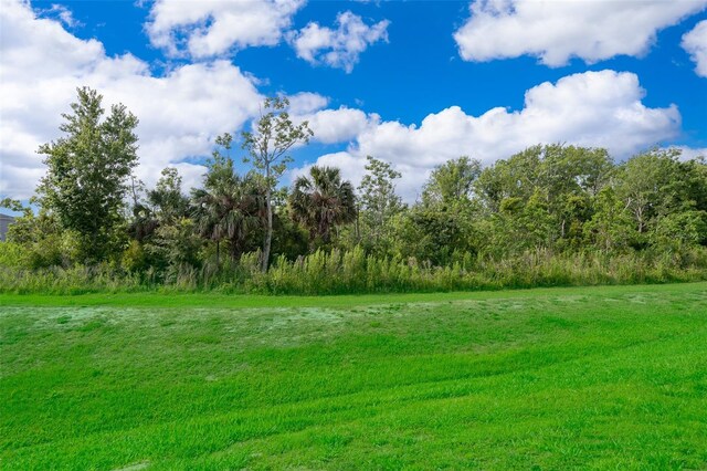 110 Claire Ln, Davenport, FL 33837 - view of grassy yard