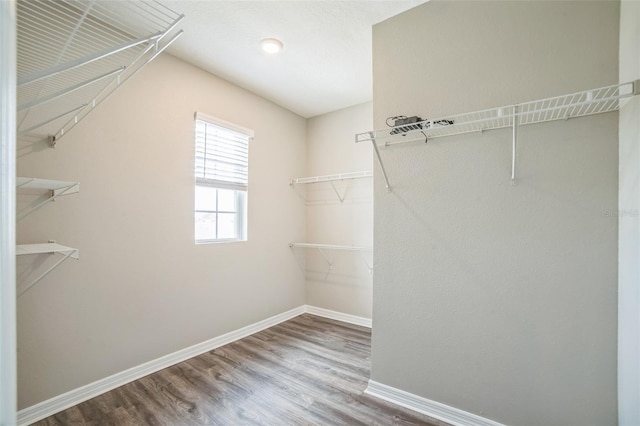 129 Eagleview Loop, Davenport, FL 33837 - spacious closet with wood finished floors