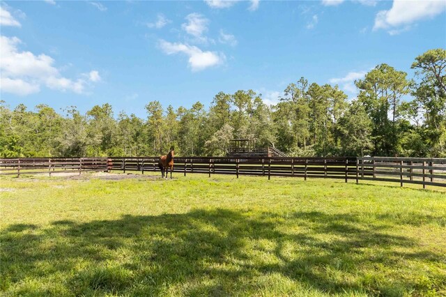 23647 Seneca Ridge Ct, Christmas, FL 32709 - photo 48