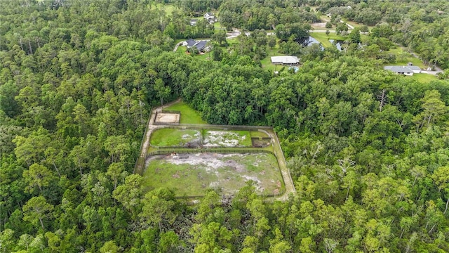 23647 Seneca Ridge Ct, Christmas, FL 32709 - photo 64