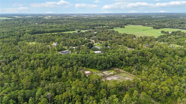 23647 Seneca Ridge Ct, Christmas, FL 32709 - photo 65