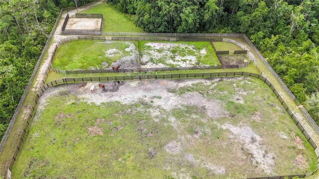 23647 Seneca Ridge Ct, Christmas, FL 32709 - photo 66