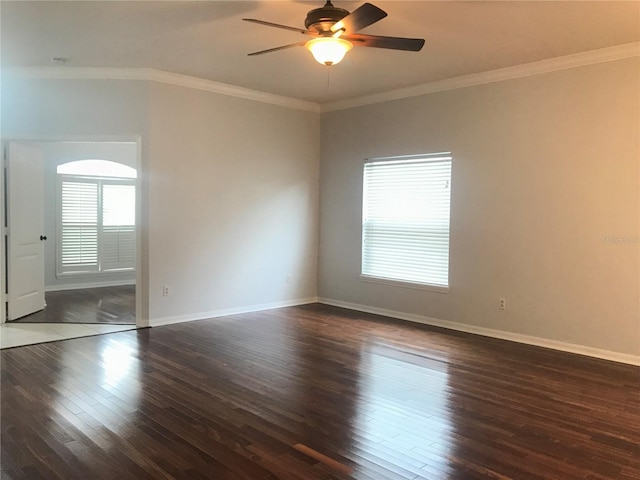 10513 Leader Ln, Orlando, FL 32825 - photo 5