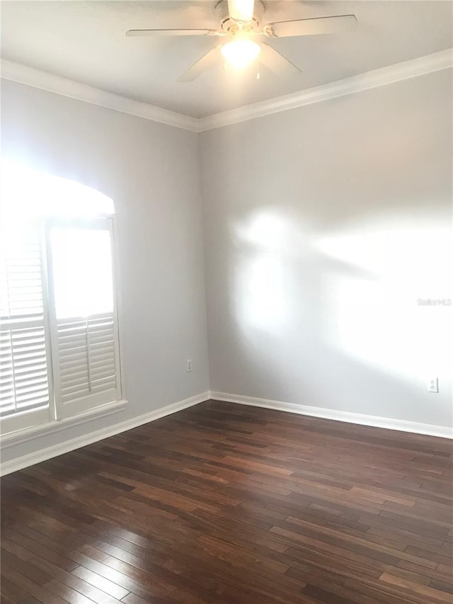10513 Leader Ln, Orlando, FL 32825 - photo 8