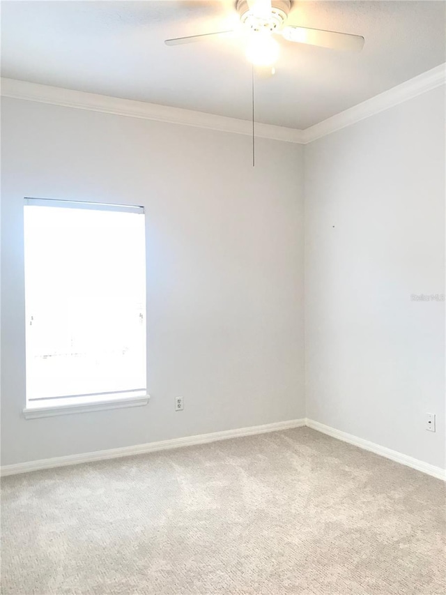 10513 Leader Ln, Orlando, FL 32825 - photo 28