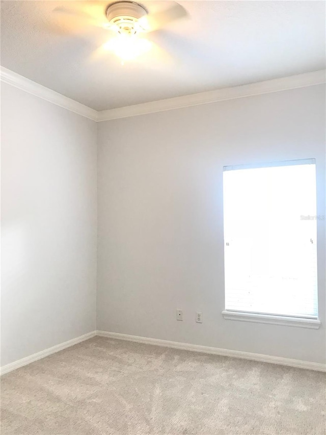 10513 Leader Ln, Orlando, FL 32825 - photo 29