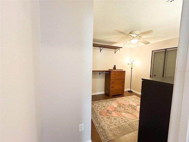 312 W Hull Ave, Oakland, FL 34760 - spacious closet featuring ceiling fan and wood finished floors