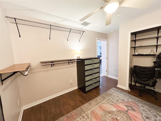 312 W Hull Ave, Oakland, FL 34760 - walk in closet with wood finished floors and a ceiling fan