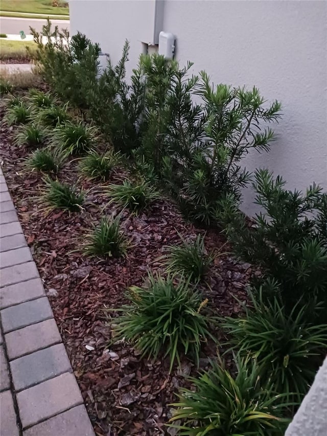 12513 Oak Hill Way, Parrish, FL 34219 - view of yard