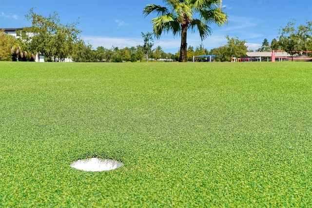 7616 Cabana Ct Unit 301, Reunion, FL 34747 - view of yard