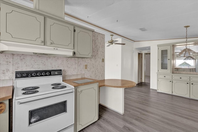 415 S Timber Trl, Wildwood, FL 34785 - photo 8