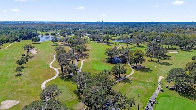 415 S Timber Trl, Wildwood, FL 34785 - photo 46