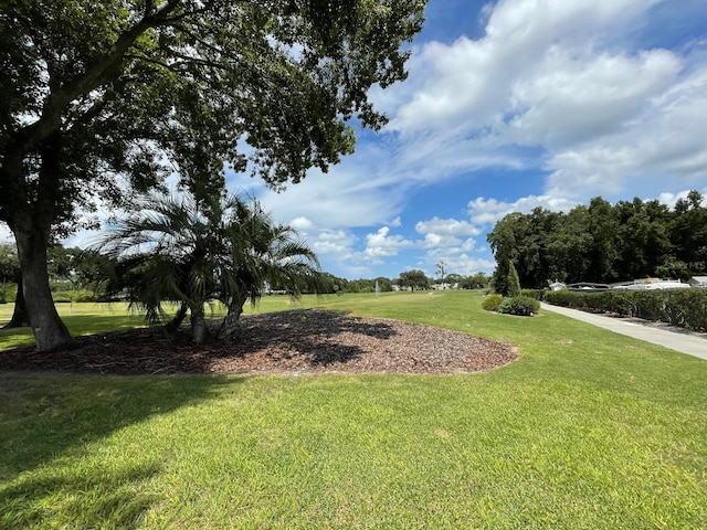 415 S Timber Trl, Wildwood, FL 34785 - photo 50