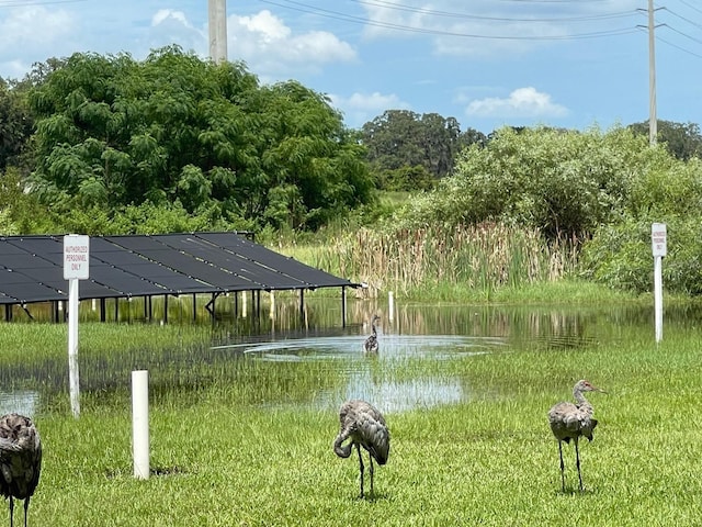 415 S Timber Trl, Wildwood, FL 34785 - photo 58