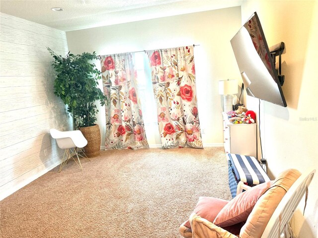 14117 Larkspur Lake Dr, Winter Garden, FL 34787 - sitting room with carpet