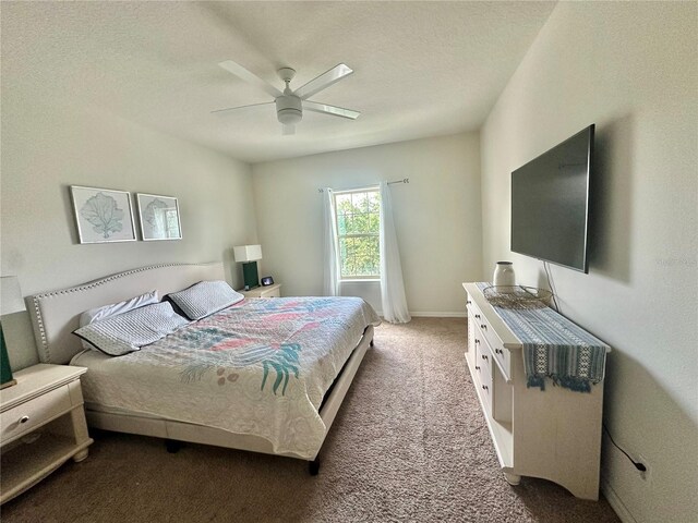 14117 Larkspur Lake Dr, Winter Garden, FL 34787 - bedroom with carpet floors, a ceiling fan, a textured ceiling, and baseboards