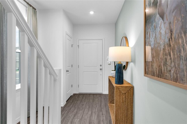 3345 Thicket St, Tavares, FL 32778 - corridor with wood finished floors, plenty of natural light, and recessed lighting