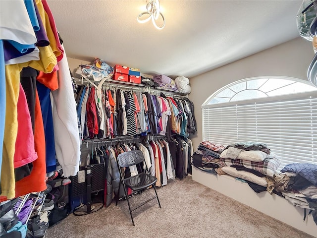 224 Hammock Dunes Pl, Orlando, FL 32828 - spacious closet featuring carpet floors
