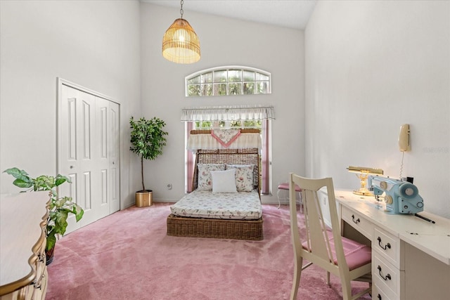 4026 S Lake Orlando Pkwy, Orlando, FL 32808 - carpeted bedroom featuring an office area, a high ceiling, and a closet