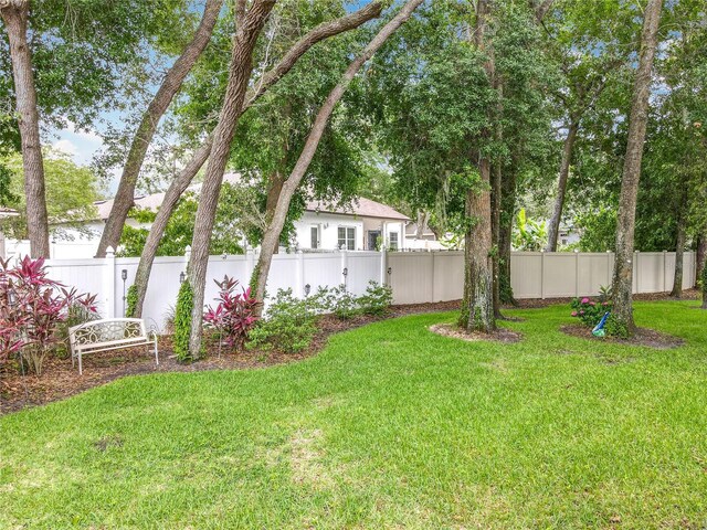 1701 Lucky Pennie Way, Apopka, FL 32712 - view of yard