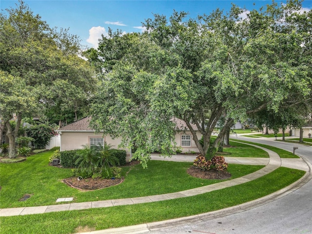 1701 Lucky Pennie Way, Apopka, FL 32712 - view of property hidden behind natural elements featuring stucco siding and a front yard