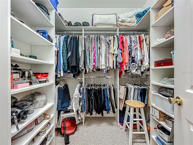 1701 Lucky Pennie Way, Apopka, FL 32712 - view of spacious closet