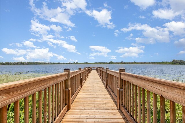 14215 Lakeview Park Rd, Winter Garden, FL 34787 - photo 33
