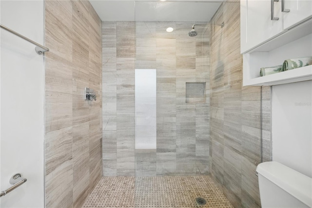 3528 Casablanca Ave, Saint Petersburg, FL 33706 - bathroom with tiled shower and toilet