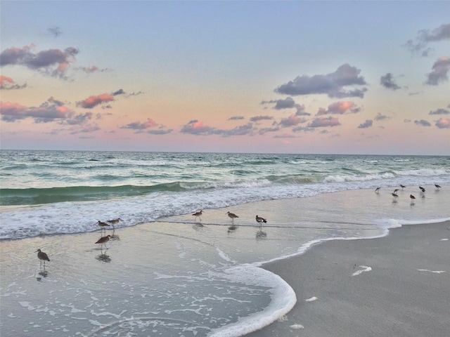 3528 Casablanca Ave, Saint Petersburg, FL 33706 - water view featuring nearby beach