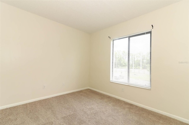 1221 S Pine Ridge Cir Unit A2, Sanford, FL 32773 - spare room with light carpet and baseboards