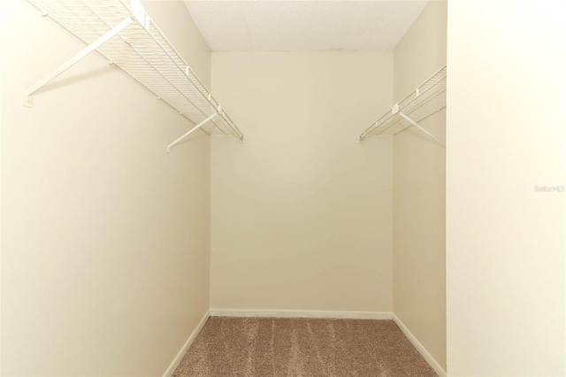 1221 S Pine Ridge Cir Unit A2, Sanford, FL 32773 - walk in closet featuring carpet flooring