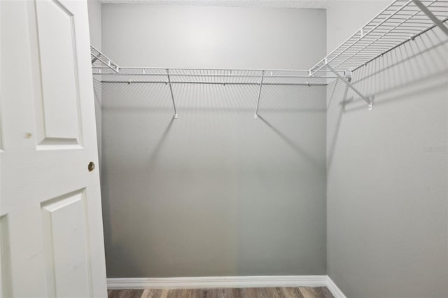 395 Alcazar Ave, De Leon Springs, FL 32130 - walk in closet with wood finished floors