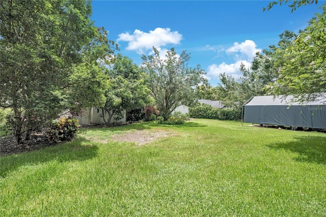 616 Magnolia St, Windermere, FL 34786 - view of grassy yard