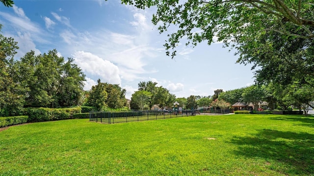 15318 Sandfield Loop, Winter Garden, FL 34787 - view of yard