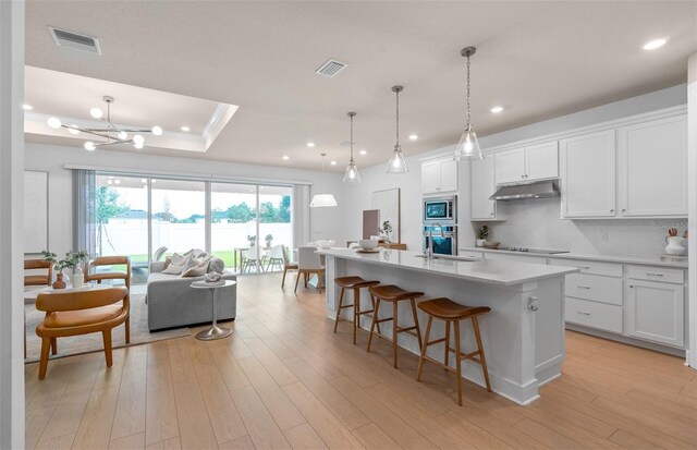 6005 Blue View Way, Saint Cloud, FL 34771 - kitchen with stainless steel appliances, a sink, under cabinet range hood, healthy amount of natural light, and recessed lighting