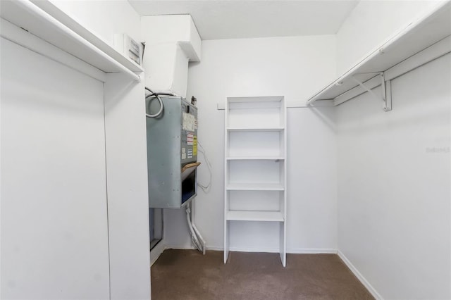 2520 Caper Ln Unit 206, Maitland, FL 32751 - spacious closet with carpet flooring